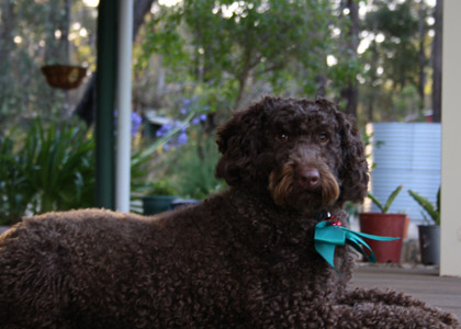 Milly